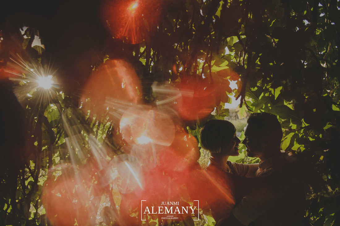 fotografias de bodas