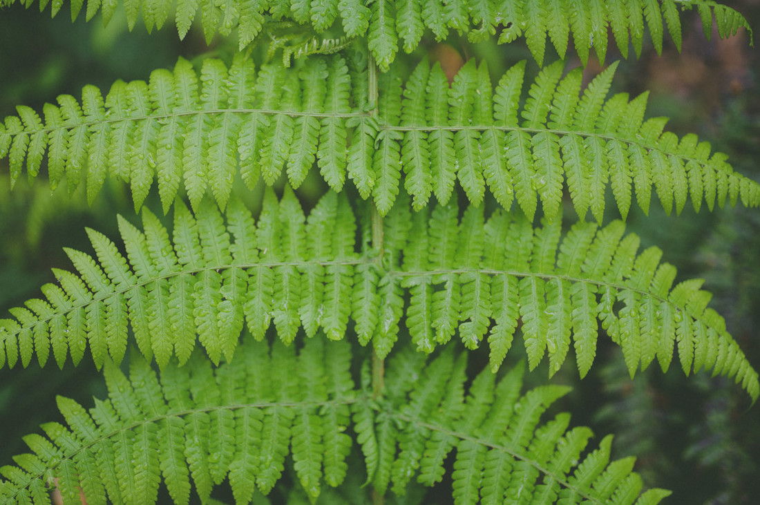 Casarse en La Gomera