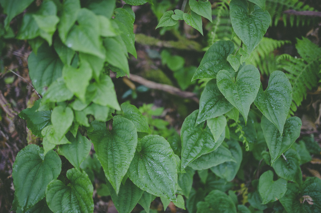 fotografía de bodas en Canarias