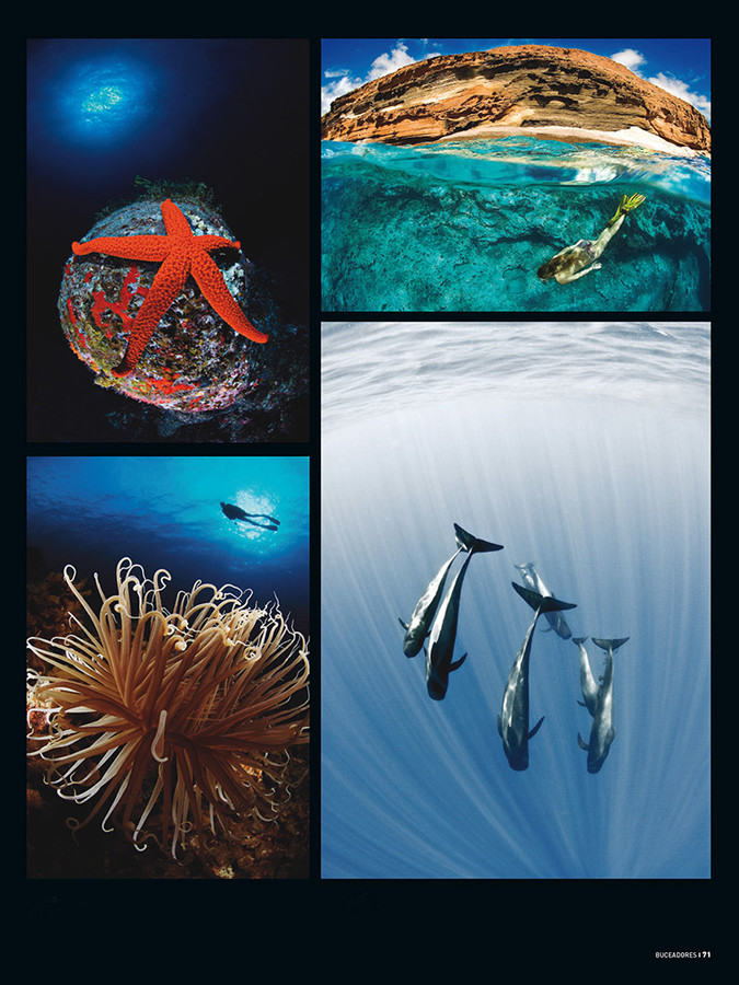 Juanmi Alemany Portafolio-4